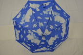 Deštník holový 96043